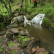 An example of an illegal diversion in Sequoia National Forest near Fresno. AP Photo/Rich Pedroncelli